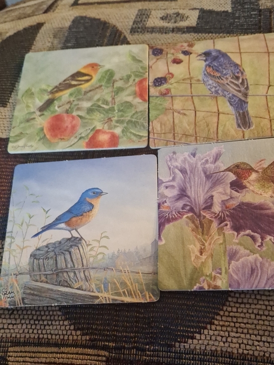 Other - Set of 4 Decorative Bird Coasters with Floral and Fruit Artwork